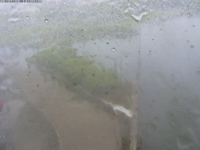 東郷池２2026/07/03 8:30:00