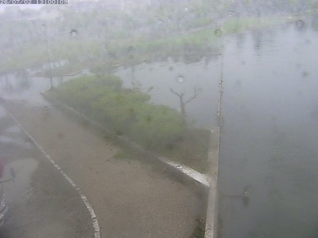 東郷池２2026/07/03 8:30:00