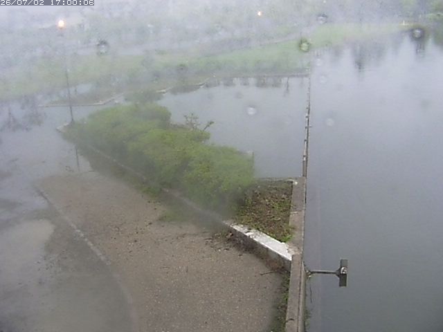 東郷池２2026/07/03 8:30:00