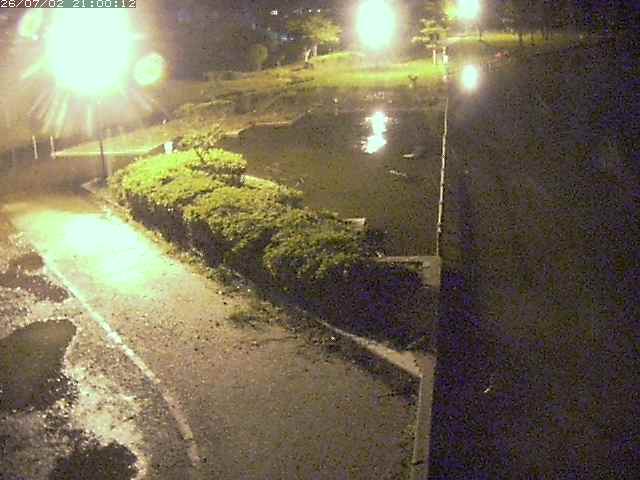 東郷池２2026/07/03 8:30:00
