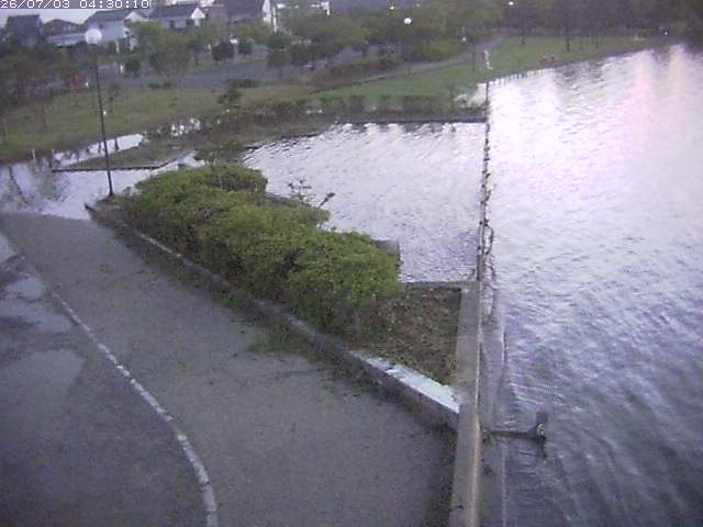 東郷池２2026/07/03 8:30:00
