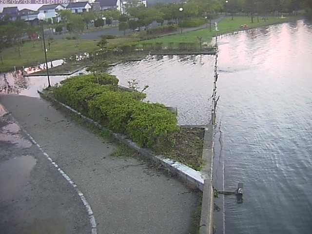 東郷池２2026/07/03 8:30:00