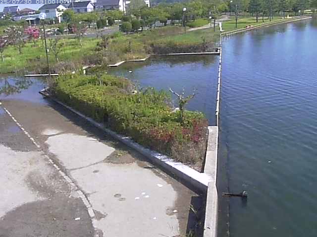 東郷池２2025/07/31 9:20:00