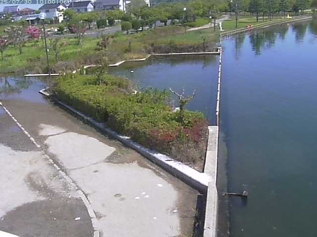 東郷池２2025/07/31 9:20:00