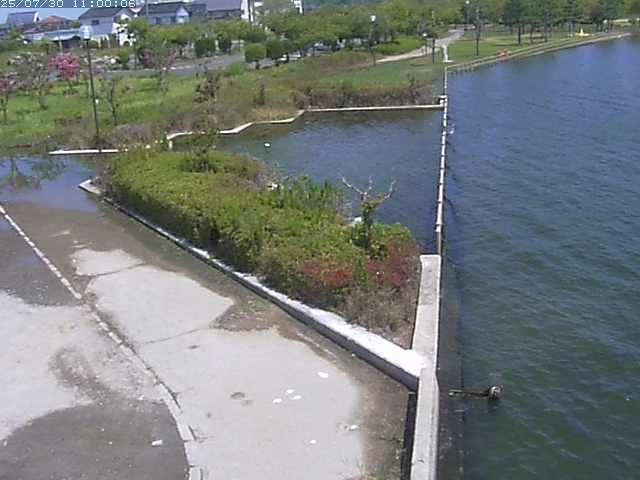 東郷池２2025/07/31 9:20:00