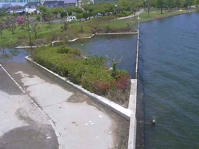東郷池２2025/07/31 9:20:00