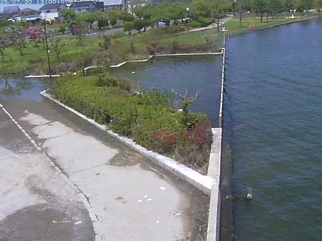 東郷池２2025/07/31 9:20:00