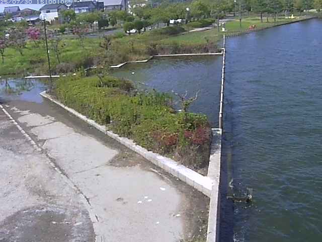 東郷池２2025/07/31 9:20:00