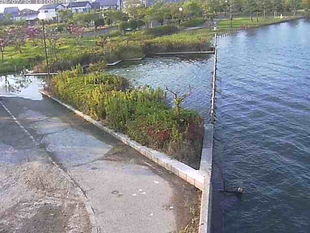 東郷池２2025/07/31 9:20:00