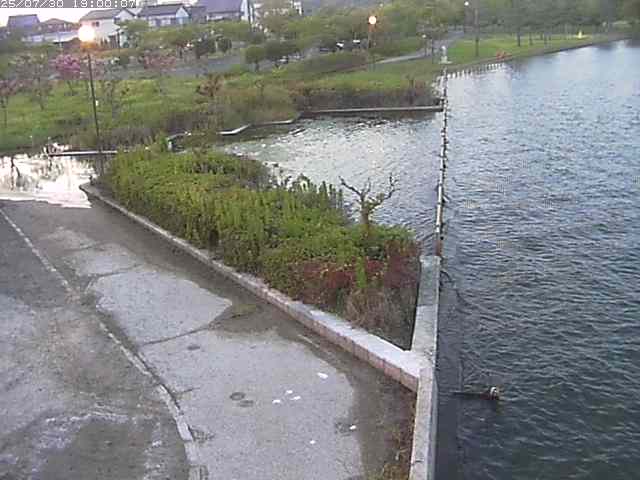 東郷池２2025/07/31 9:20:00