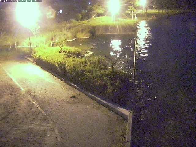 東郷池２2025/07/31 9:20:00