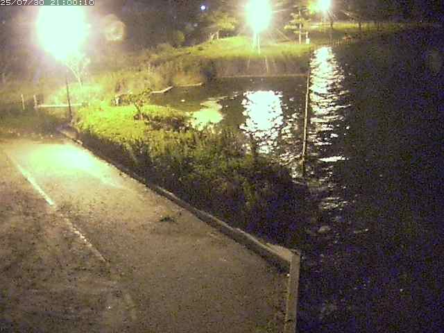 東郷池２2025/07/31 9:20:00