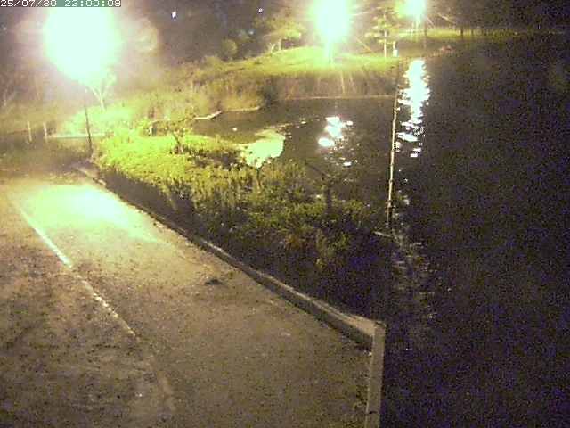 東郷池２2025/07/31 9:20:00