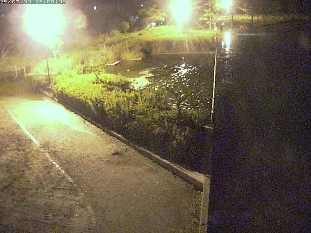 東郷池２2025/07/31 9:20:00