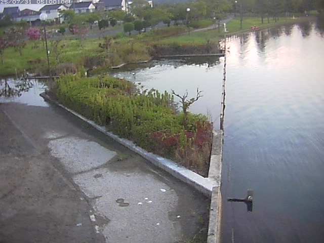 東郷池２2025/07/31 9:20:00