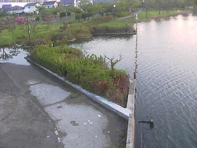 東郷池２2025/07/31 9:20:00