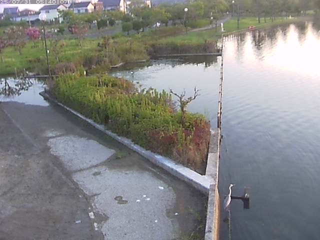 東郷池２2025/07/31 9:20:00