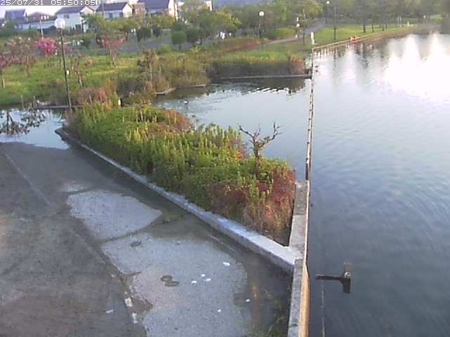 東郷池２2025/07/31 9:20:00