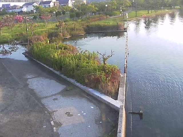 東郷池２2025/07/31 9:20:00