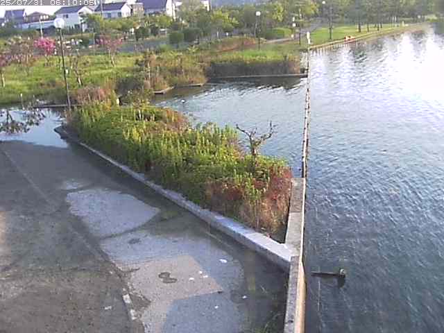 東郷池２2025/07/31 9:20:00