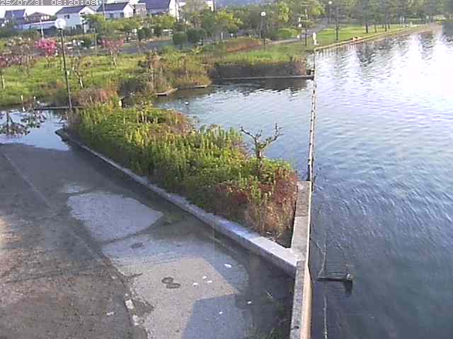 東郷池２2025/07/31 9:20:00