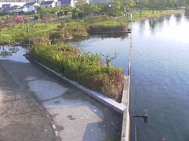 東郷池２2025/07/31 9:20:00