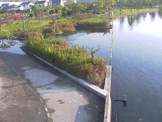 東郷池２2025/07/31 9:20:00