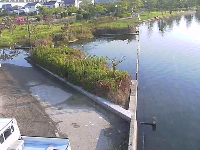 東郷池２2025/07/31 9:20:00