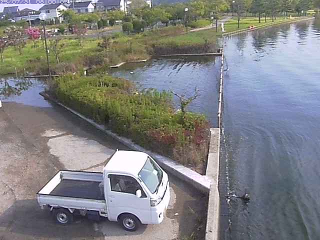 東郷池２2025/07/31 9:20:00