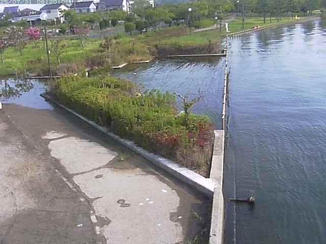 東郷池２2025/07/31 9:20:00