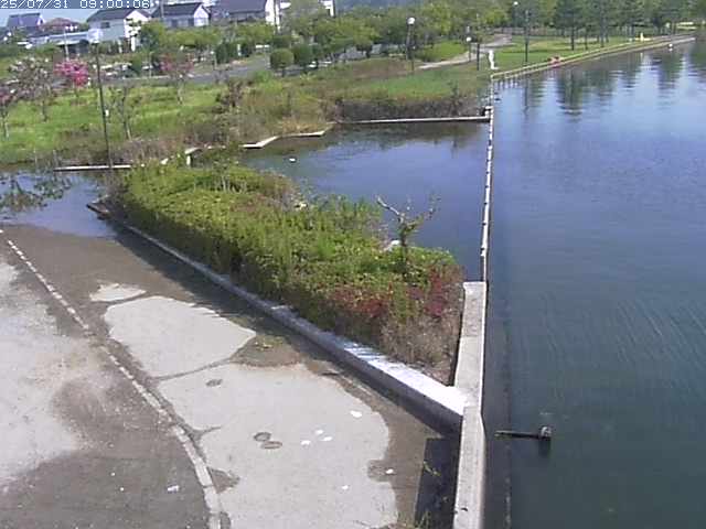 東郷池２2025/07/31 9:20:00