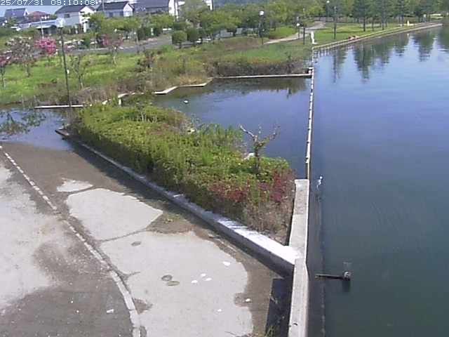 東郷池２2025/07/31 9:20:00