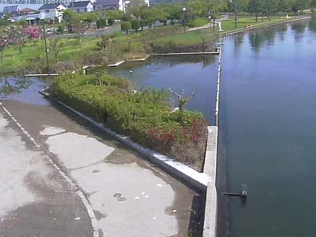 東郷池２2025/07/31 9:20:00