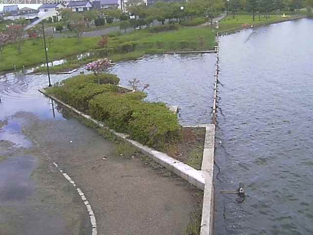 東郷池２2026/08/17 20:40:00