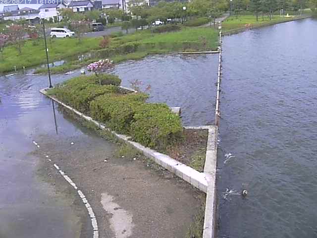 東郷池２2026/08/17 20:40:00