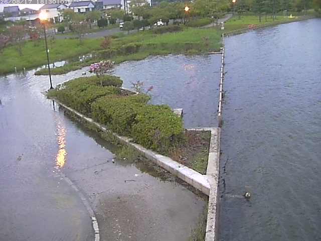 東郷池２2026/08/17 20:40:00