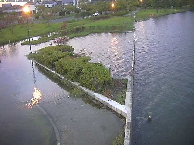 東郷池２2026/08/17 20:40:00