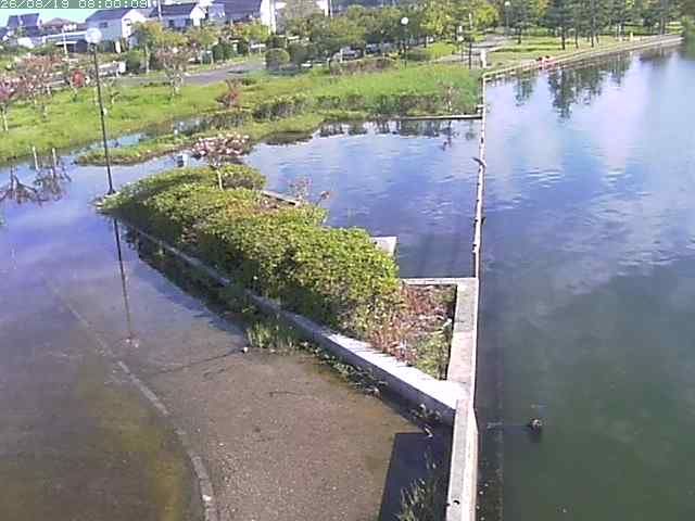 東郷池２2026/08/20 8:40:00