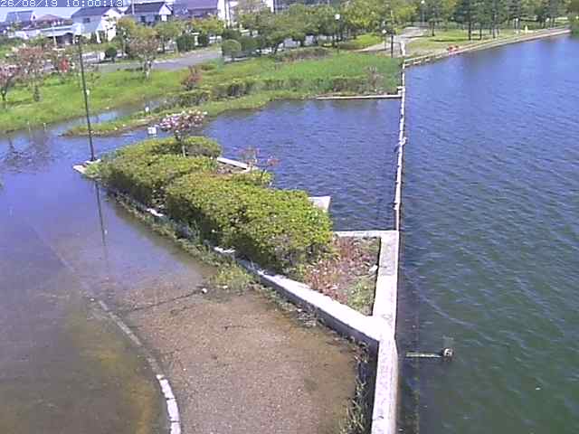 東郷池２2026/08/20 8:40:00
