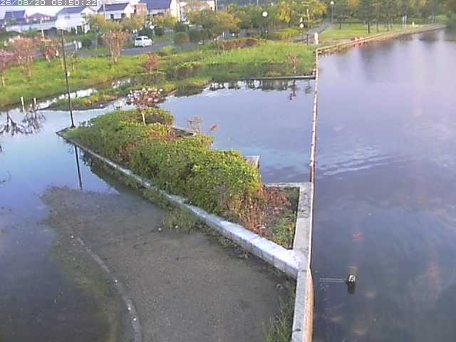 東郷池２2026/08/20 8:40:00