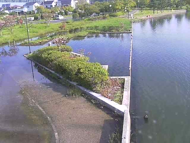 東郷池２2026/08/20 8:40:00