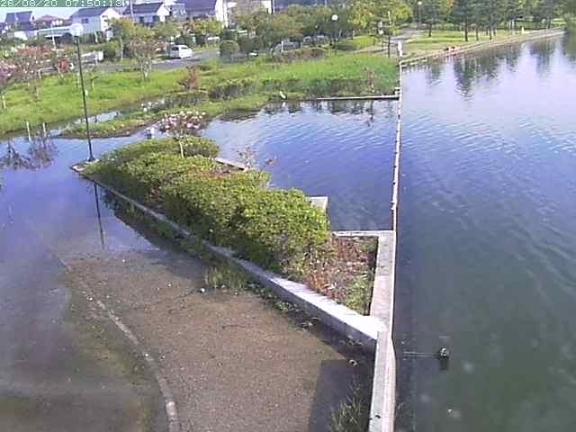 東郷池２2026/08/20 8:40:00