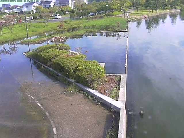 東郷池２2026/08/20 8:40:00