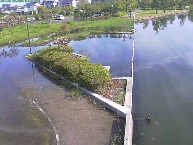 東郷池２2026/08/20 8:40:00