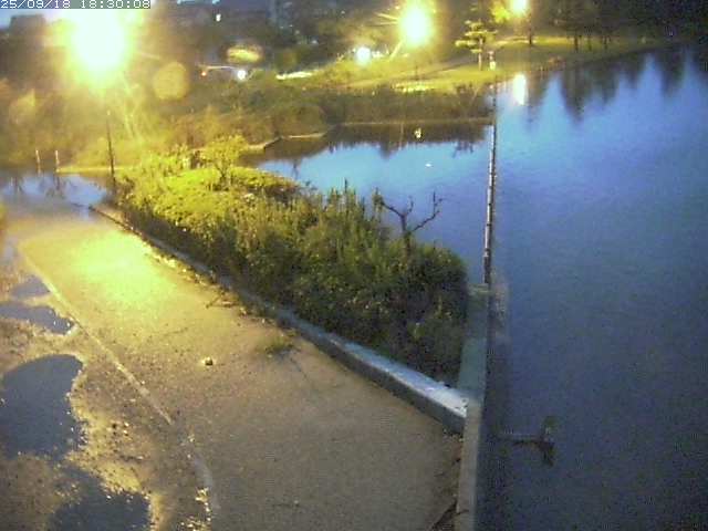 東郷池２2025/09/18 19:10:00