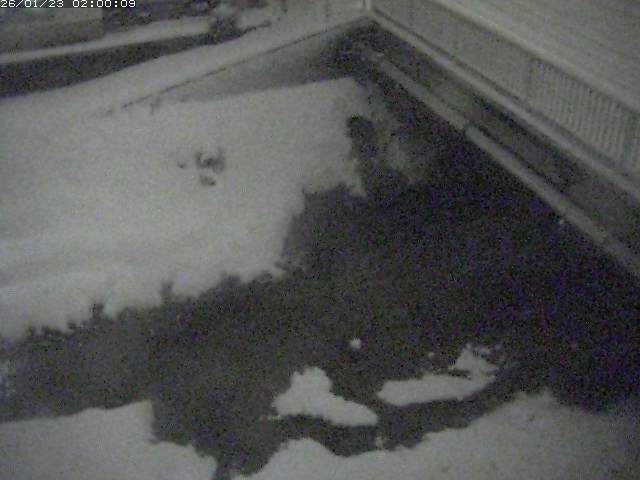 栗尾川１2026/01/24 2:40:00