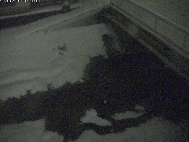 栗尾川１2026/01/24 2:40:00