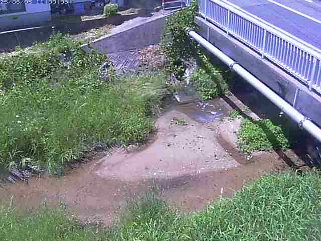 栗尾川１2025/06/06 1:20:00