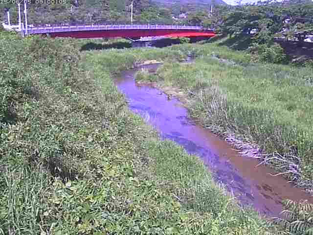 東長田川１2025/06/06 1:40:00