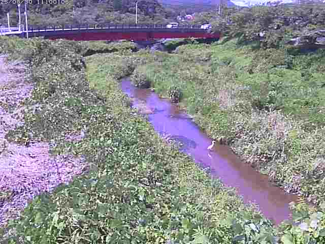 東長田川１2025/08/31 9:10:00